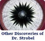 Other Discoveries
