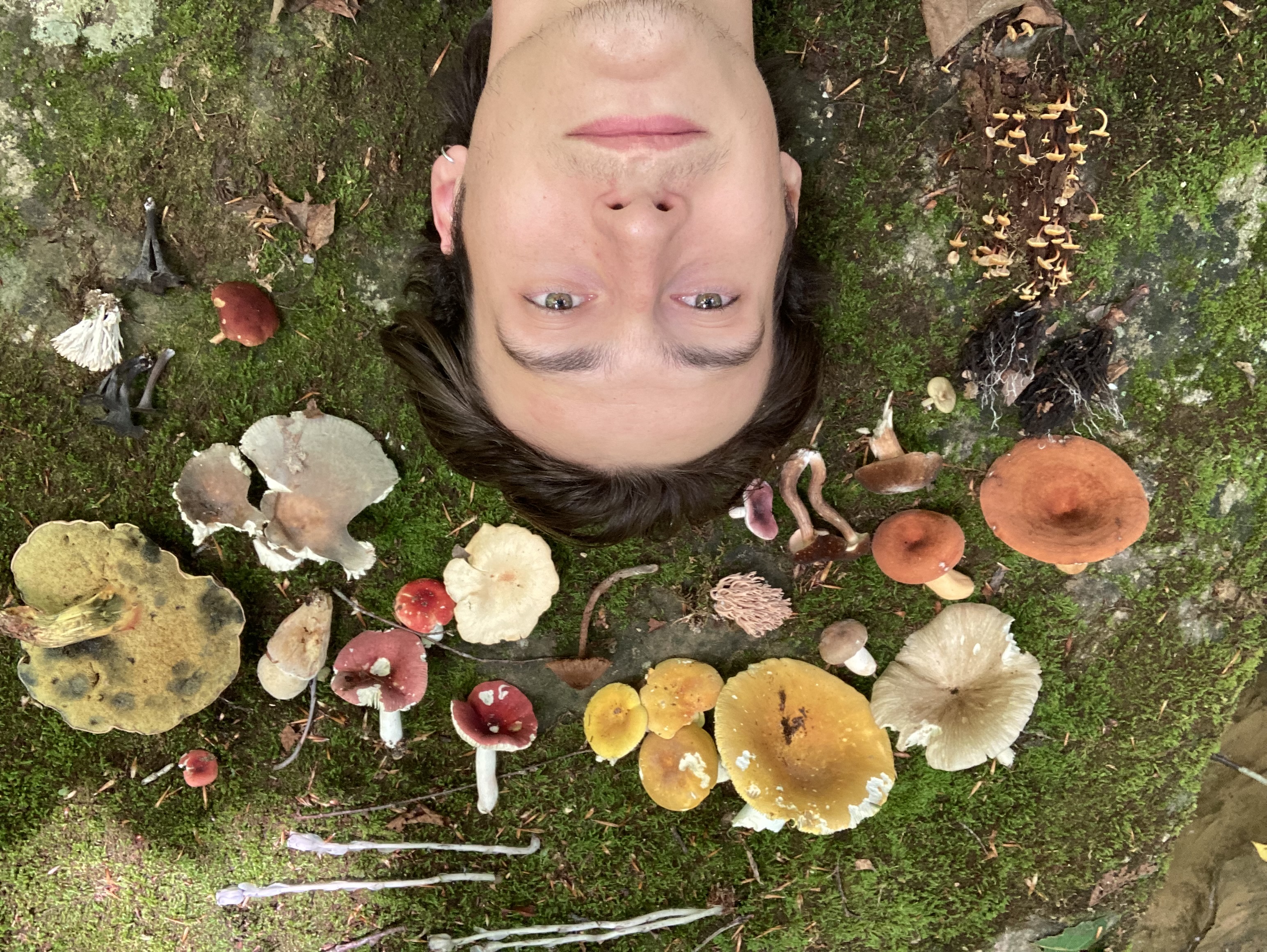 S. Baldwin photo